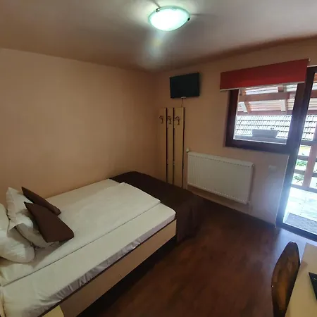 Guest house Pensiunea Leia 3*