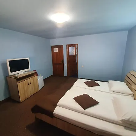 Guest house Pensiunea Leia 3*