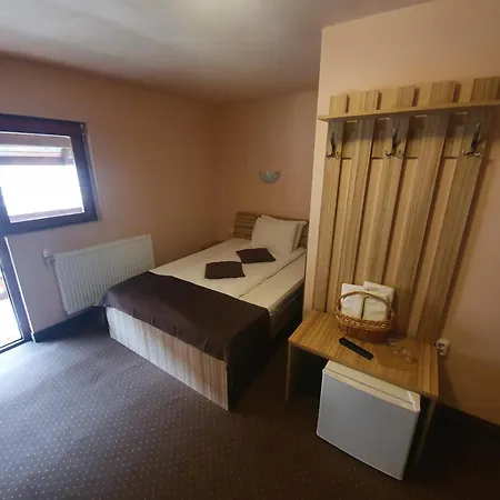 Pensiunea Leia Guest house Cartisoara