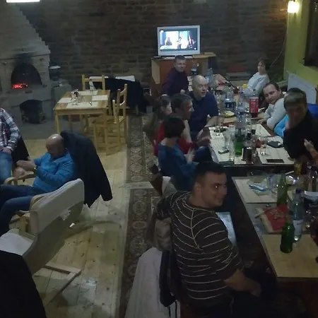 Pensiunea Leia Guest house Cartisoara